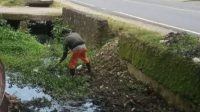 Menuju Parepare Bebas Gulma, DLH Rutin Bersihkan Drainase dan Angkut Sampah
