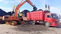 Bongkar Muat Batu Bara di Pelabuhan Parepare Kembali Berlangsung