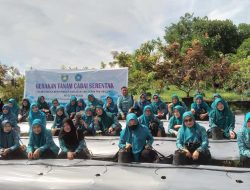 PKK Parepare Peringati HKG ke-52 dengan Gerakan Tanam Cabai Serentak, Bantu Pemerintah Kendalikan Harga Komoditas Cabai