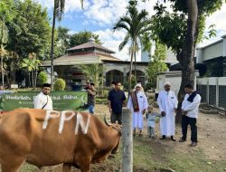 Pertamina Patra Niaga Sulawesi Berkurban 88 Sapi dan 48 Kambing, Dibagikan ke Masyarakat di Ring I Unit Operasi
