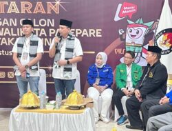 Keputusan Partai di Atas Segalanya, Adik Taufan Pawe Siap Menangkan ANH-TQ di Pilkada Parepare