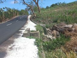 InCare Soroti Proyek Jalan Rp4,9 Miliar di Parepare, Baru Dikerjakan Sudah Ditumbuhi Rumput