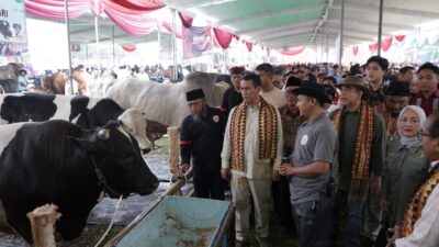 Mentan Amran Respons Cepat Keluhan Peternak Lampung soal Harga Daging Sapi