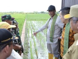 Mentan Jelajahi 3 Provinsi dalam 1 Hari Demi Swasembada Pangan