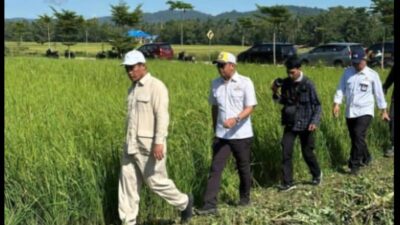 Mentan Amran Menelusuri Jaringan Irigasi di Konawe Demi Swasembada