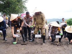 Dukung Program Asta Cita Presiden Prabowo, Parepare Ikut Sukseskan Penanaman Jagung Serentak Satu Juta Hektar