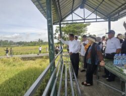 Ketua Komisi IV DPR RI Titiek Soeharto Semprot Bulog Imbas Harga Gabah di Jogja Anjlok Rp5500 Perkilogram