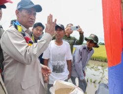 Mentan Amran Dorong Kalsel Tanam Padi 3 Kali Setahun, Saatnya Jadi Lumbung Pangan Nasional