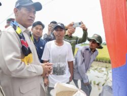 Mentan Amran Tegaskan Bulog Wajib Serap Gabah Petani Any Quality, yang Tidak Mau Kerja untuk Rakyat Minggir!