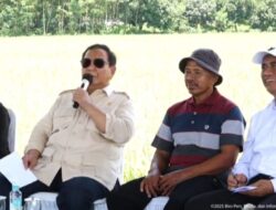 Prabowo Apresiasi Gerak Cepat Mentan Amran: Tiap Saya Cari, Beliau Selalu Ada di Sawah