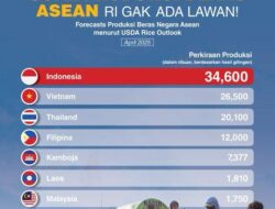 Departemen Pertanian Amerika Serikat Ramalkan Produksi Beras Indonesia Tertinggi di ASEAN