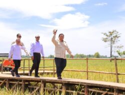 Mentan Amran, “Sentuhan Ajaib” Presiden Prabowo Hentikan Impor Beras