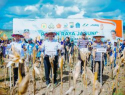 Mentan Amran: Kabar Gembira, Petani Jagung Dapat Dukungan 5 Triliun dari Presiden