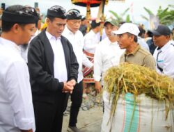 Mentan Amran Targetkan Luwu Timur Tanam Padi 4 Kali Setahun