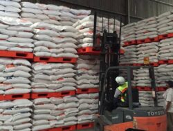 Data BPS, USDA, dan Bulog: Produksi dan Stok Beras Naik Ekstrem – Data Tempo dari Mafia Beras?