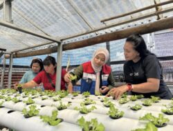 Pertamina Patra Niaga IT Bitung Dukung Pemberdayaan Ibu Rumah Tangga Melalui Hidroponik