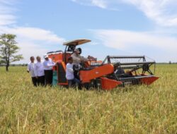 FAO Prediksi Produksi Beras Indonesia Capai 35,6 Juta Ton, Cetak Sejarah Baru