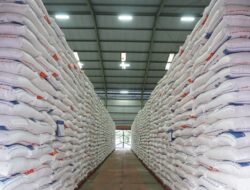 Pemerintah Lepas 360 Ribu Ton Bansos Beras, Mentan: SPHP Harus Hati-Hati dan Tepat Sasaran