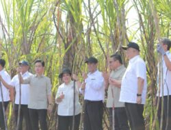Wapres Gibran dan Mentan Amran Berikan Solusi untuk Petani Tebu, Target Swasembada Gula di 2026
