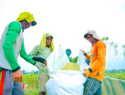 Mentan Amran Beberkan Penyebab Harga Beras Masih di Atas HET Meski Stok Surplus