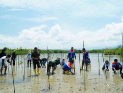 Pertamina Patra Niaga Sulawesi Tanam 1.000 Bibit Mangrove di Cagar Alam Panua: Langkah Nyata Melindungi Lingkungan dan Memberdayakan Masyarakat