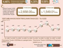 Ekonomi Parepare Tumbuh 4,46 Persen di Triwulan II-2025, Investasi Jadi Penggerak Utama