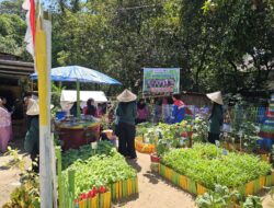 Pertamina Patra Niaga Dorong Kemandirian Pangan Lewat Program Pekarangan Lestari di Maros