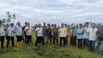 Dukung Ketahanan Pangan dan Pelestarian Budaya, Danramil Mallusetasi Hadiri Mappalili di Desa Nepo