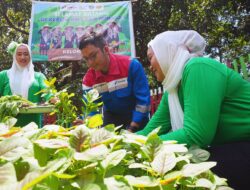 Pertamina Patra Niaga Sulawesi Hadirkan Keceriaan: Serunya Menanam, Bahagianya Memanen Bersama KWT Baji Minasa