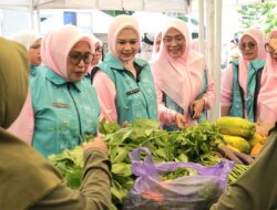 Ketua PKK Parepare Dorong UMKM Manfaatkan Digital Marketing melalui Tani Smart Market
